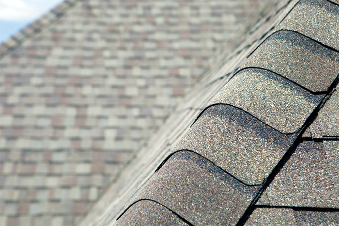 Matheson & Timmins Roofing Contractor 